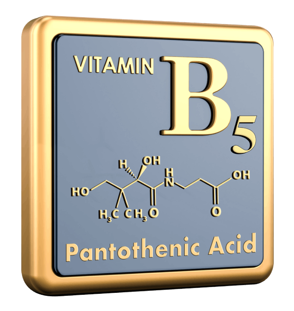 Pantothenic Acid (Vitamin B5)